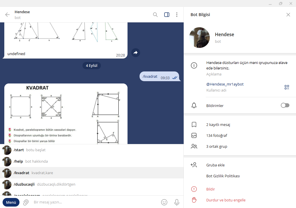 Levham Github Pages